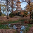 Vom Herbstlaub fast verdeckt