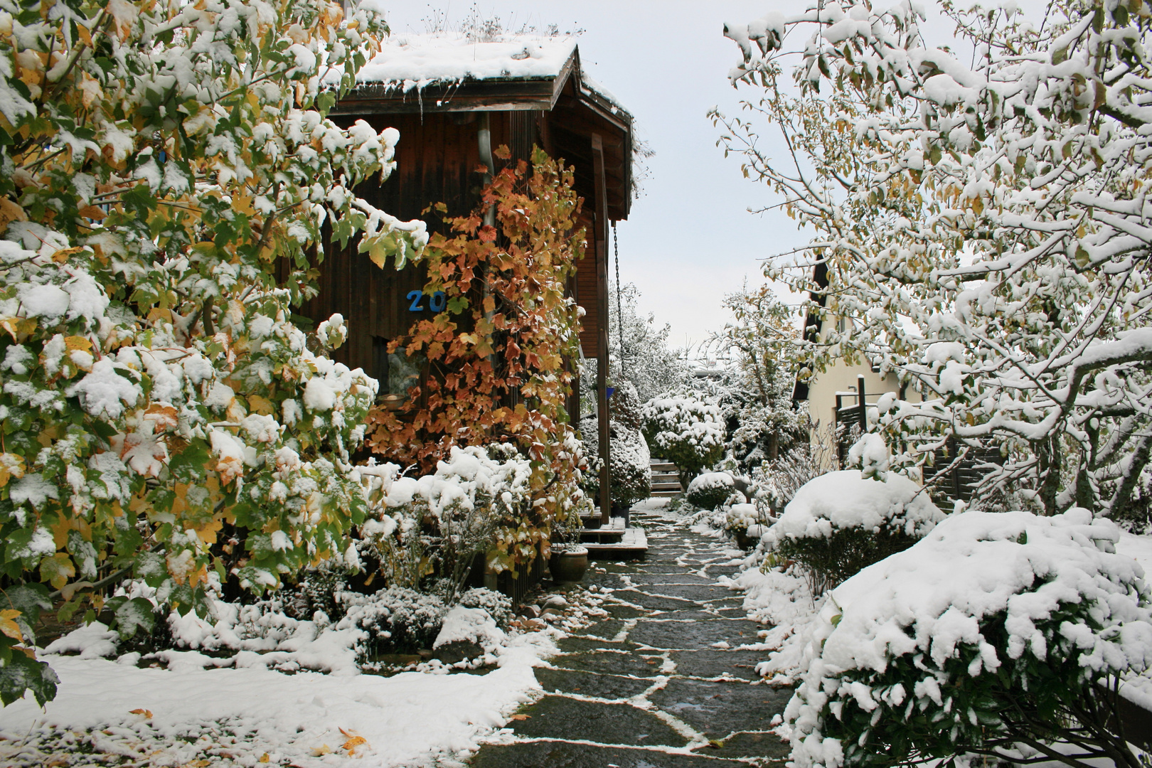 Vom Herbstschnee überrascht