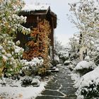 Vom Herbstschnee überrascht