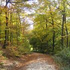 Vom Herbstspaziergang mitgebracht!