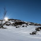 Vom heutigen Ausflug auf der Fürenalp in Engelberg / 3