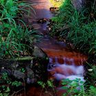 Vom heutigen Spaziergang 2 "Der Rote Bach"