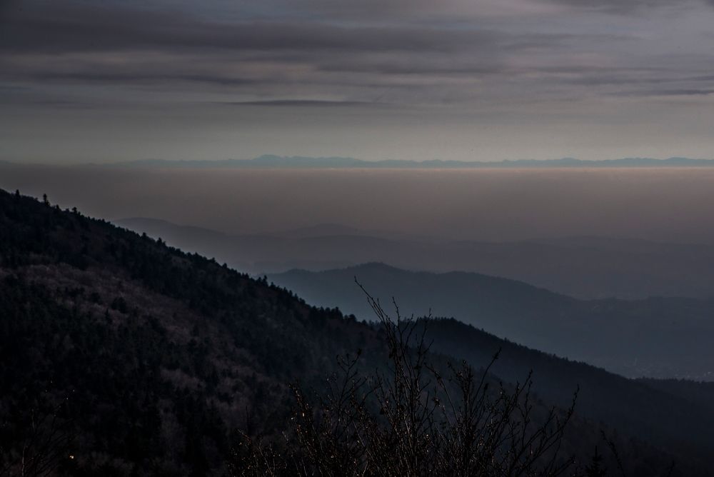 vom Hirschenstein zu den Alpen