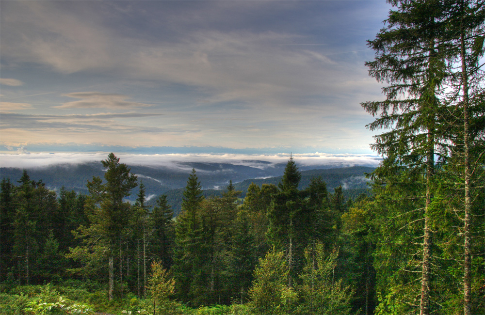 Vom Hochkopf zu den Alpen