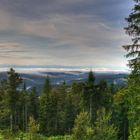 Vom Hochkopf zu den Alpen