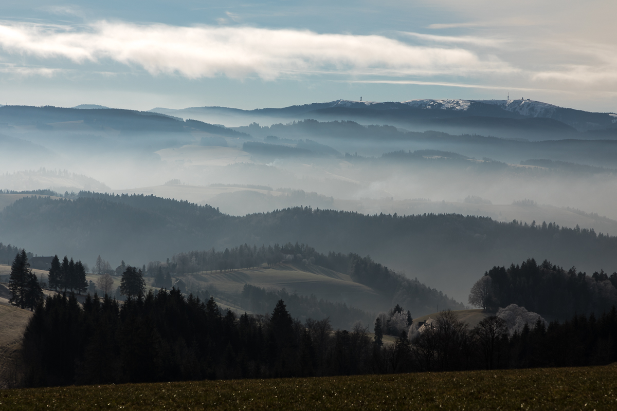 Vom Hochwald zum Feldberg