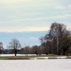 Vom Hochwasser umgeben