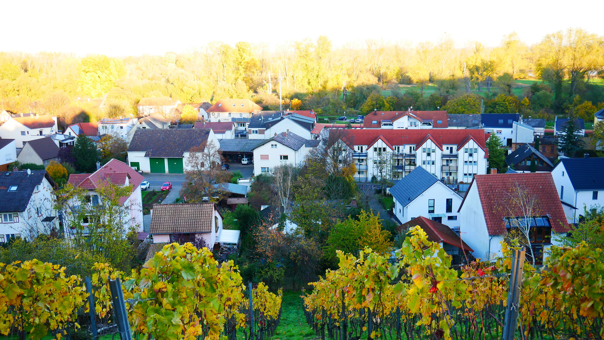 Vom Hügel über unserem Haus