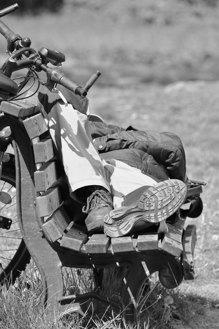 Vom Inder Der Mit Dem Fahrrad Bis Nach Schweden Fuhr, Per J. Andersson