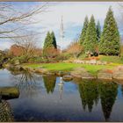 Vom Japanische Garten in Planten und Blomen Blick auf dem Hamburger Fernsehturm.