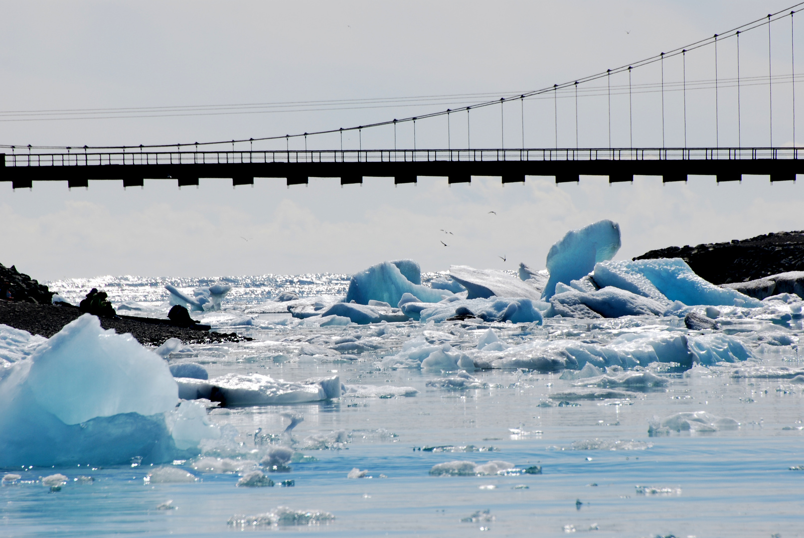 Vom Jökulsarlón ins Meer