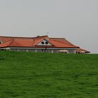 Vom Kaffeeklatsch zurück auf die Wiese