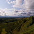 Vom Kaiserstuhl zum Tuniberg