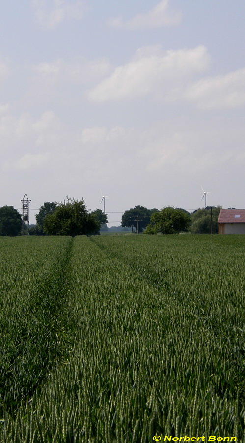 Vom Korn zur "Mühle"