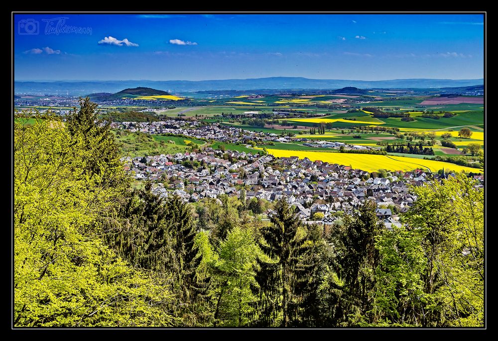 Vom Kottenheimer Büden