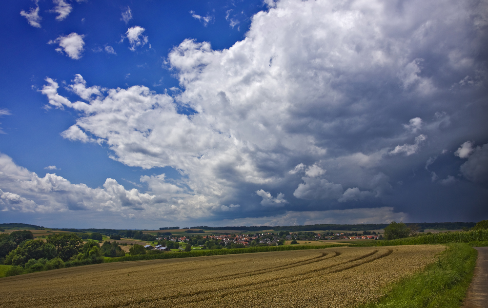 Vom Kuhberg