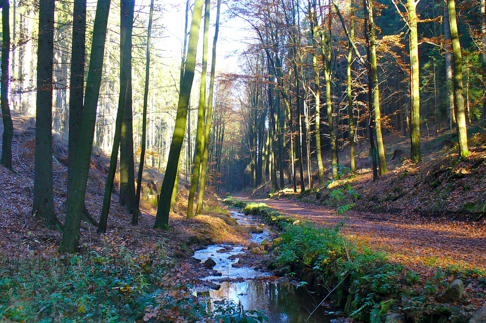 vom letzten Herbst