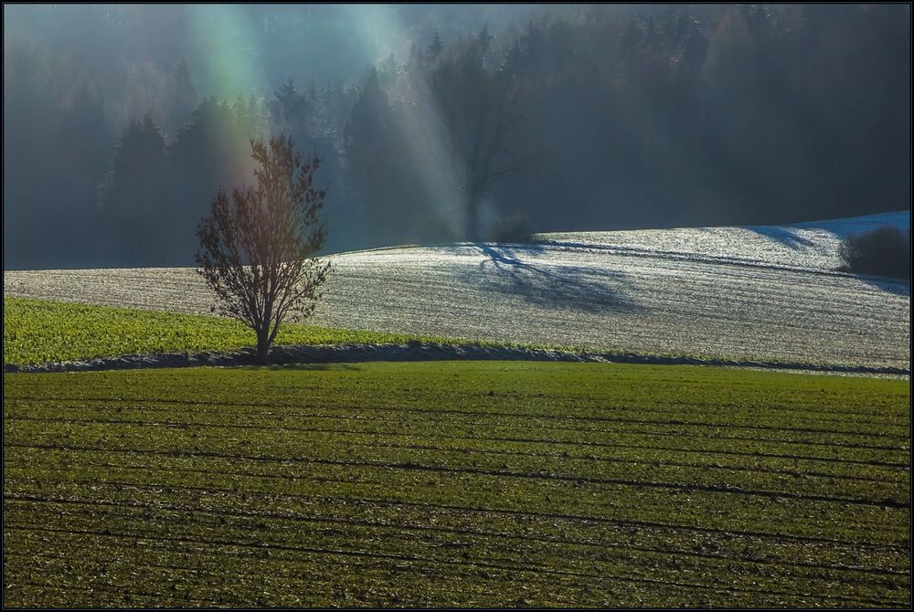 Vom Licht getroffen... (wie das Foto zustande kam...) 