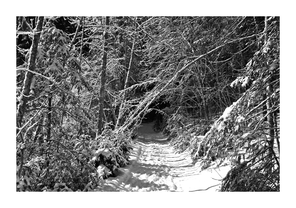 vom Licht ins Dunkel führt der Weg