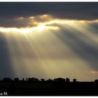 Vom Licht überschüttet