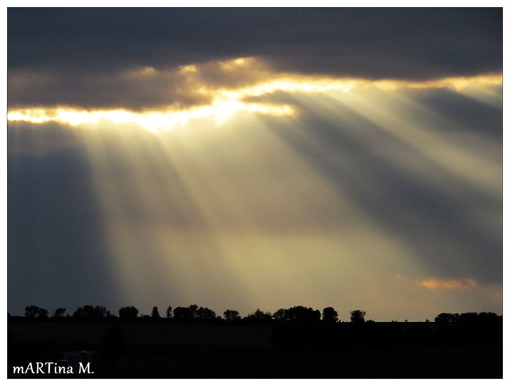 Vom Licht überschüttet