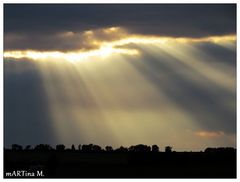 Vom Licht überschüttet