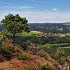 vom Lilienstein