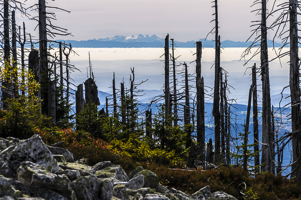 Vom Lusen zum Dachstein