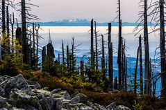 Vom Lusen zum Dachstein