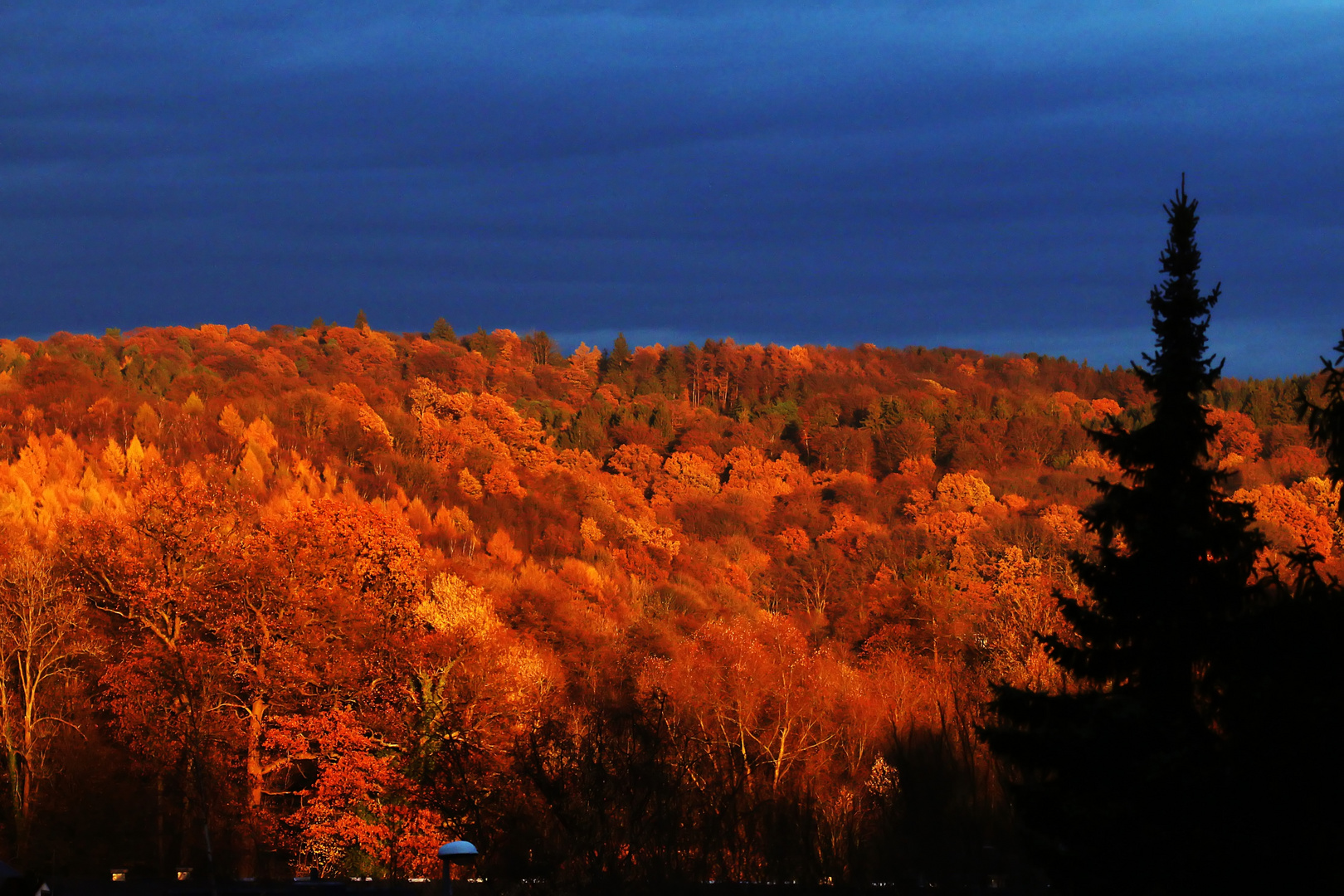 vom Maler Herbst mit Unterstützung der Abendsonne