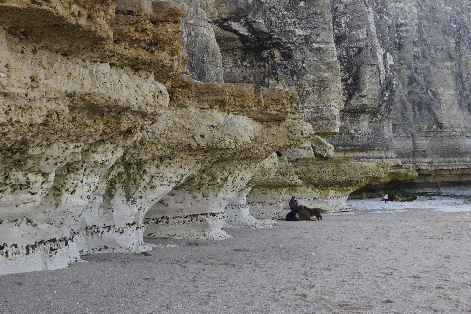 Vom Meer ausgewaschene Felsen bei Etretat, Normandie