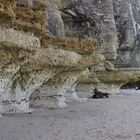 Vom Meer ausgewaschene Felsen bei Etretat, Normandie