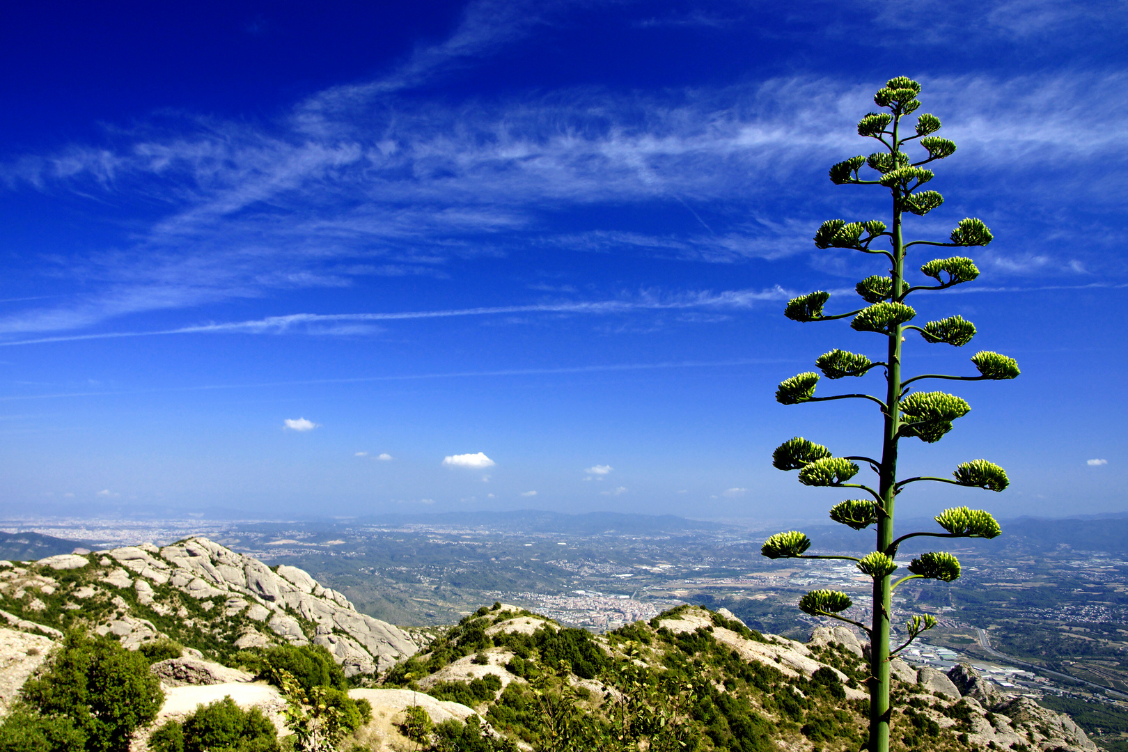 Vom Montserrat