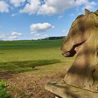 Vom Muh-Kuh-Zaun (Foto unten) gings weiter zum Reiterhof.