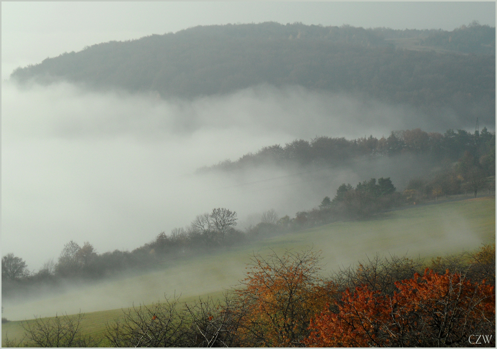 Vom Nebel bedeckt...(3)