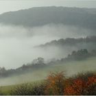 Vom Nebel bedeckt...(3)