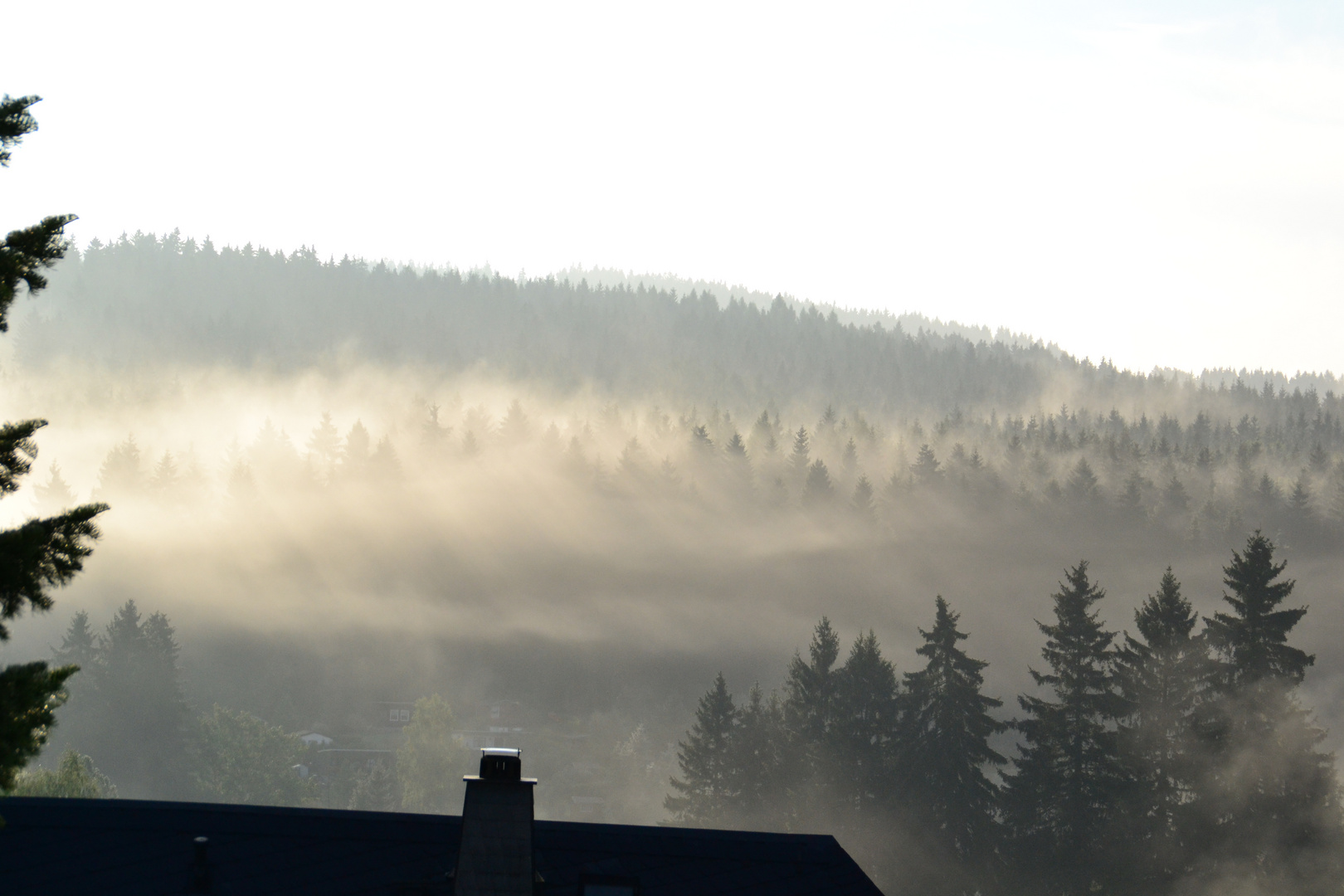 Vom Nebel durchzogen....