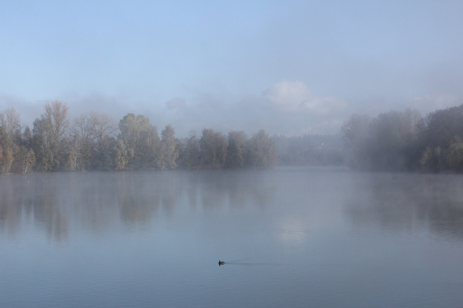 Vom nebel eingehült