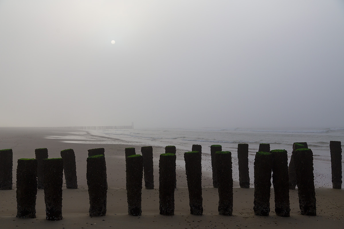 ... vom Nebel überrascht ...