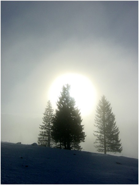 Vom Nebel überrascht...