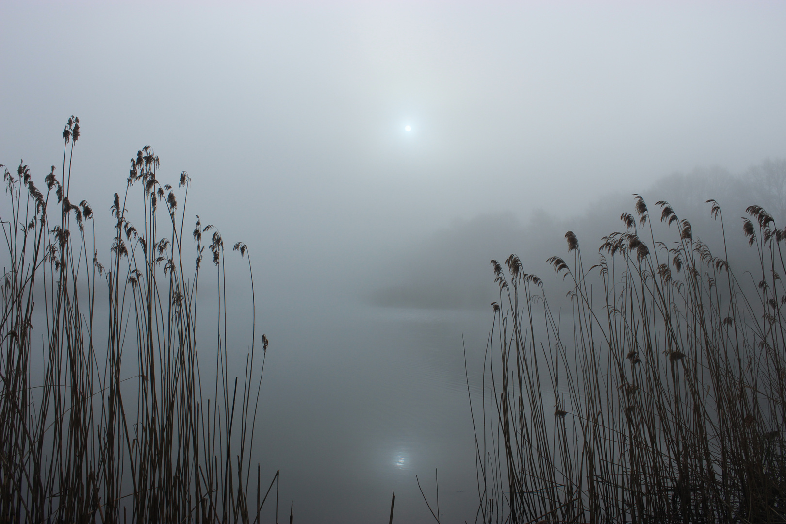 Vom Nebel umgeben