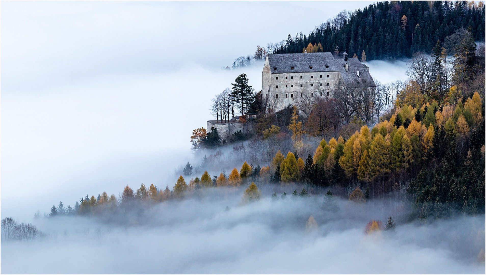 Vom Nebel umgeben