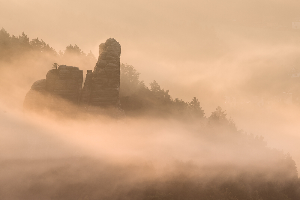 Vom Nebel umhüllt