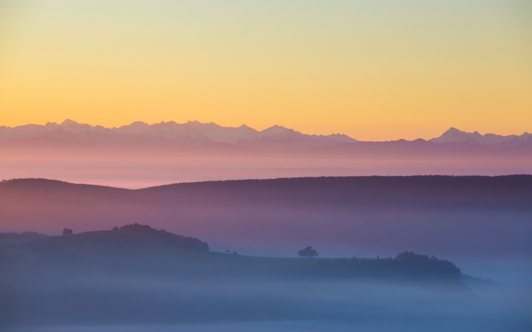 Vom Nebel umhüllt