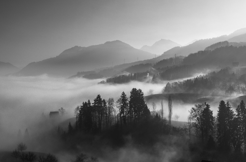 Vom Nebel umhüllt