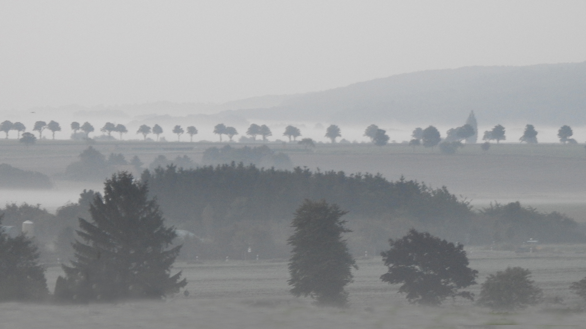 Vom Nebel umhüllt.