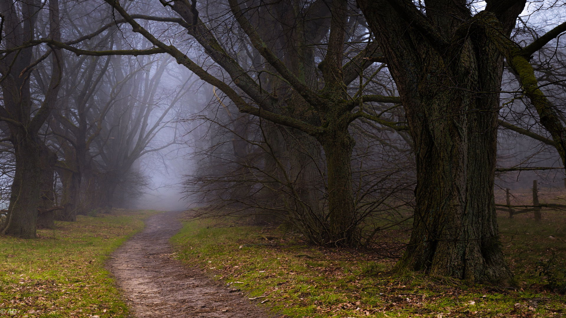 Vom Nebel verschluckt