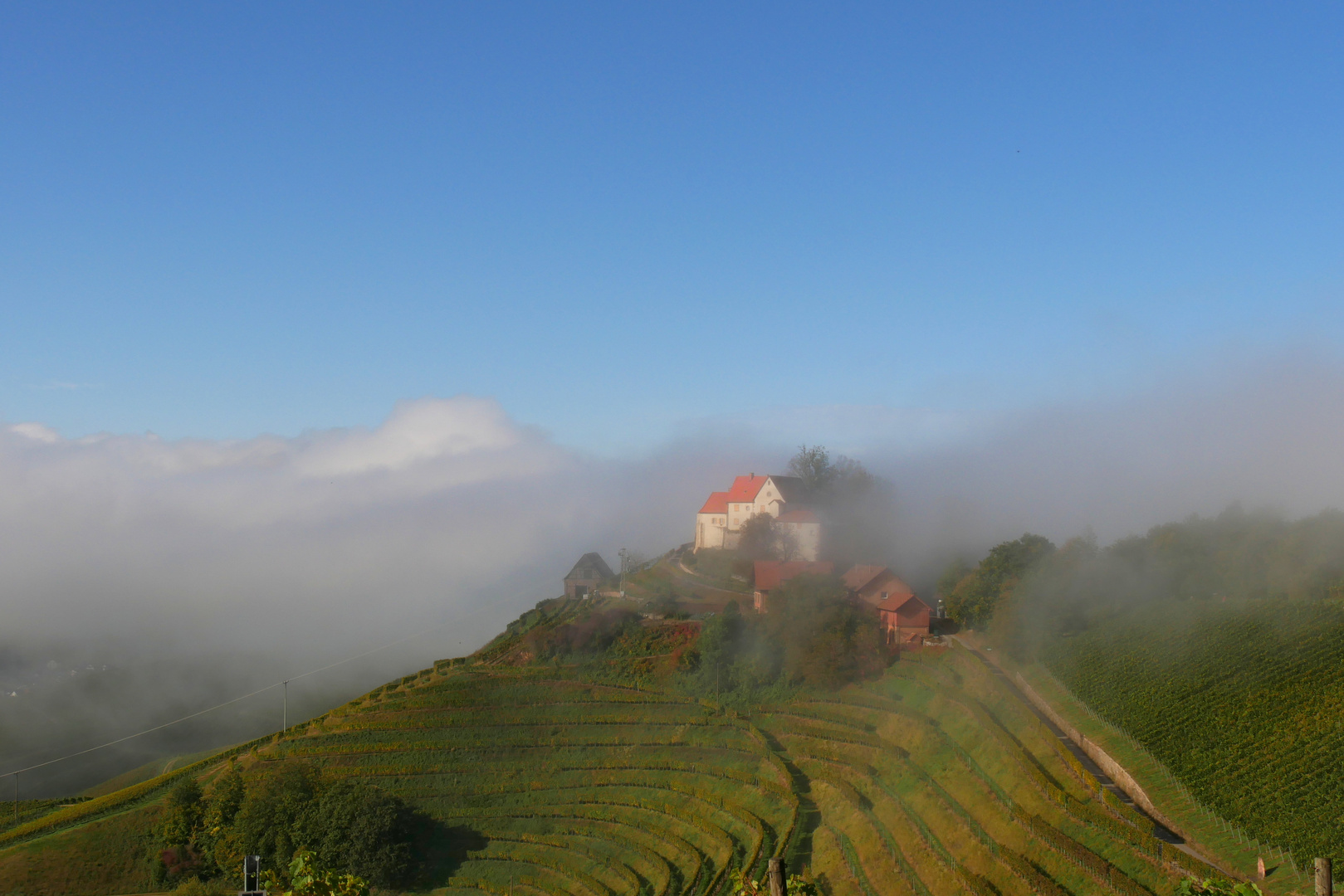 vom Nebel verschlungen