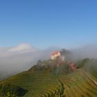 vom Nebel verschlungen