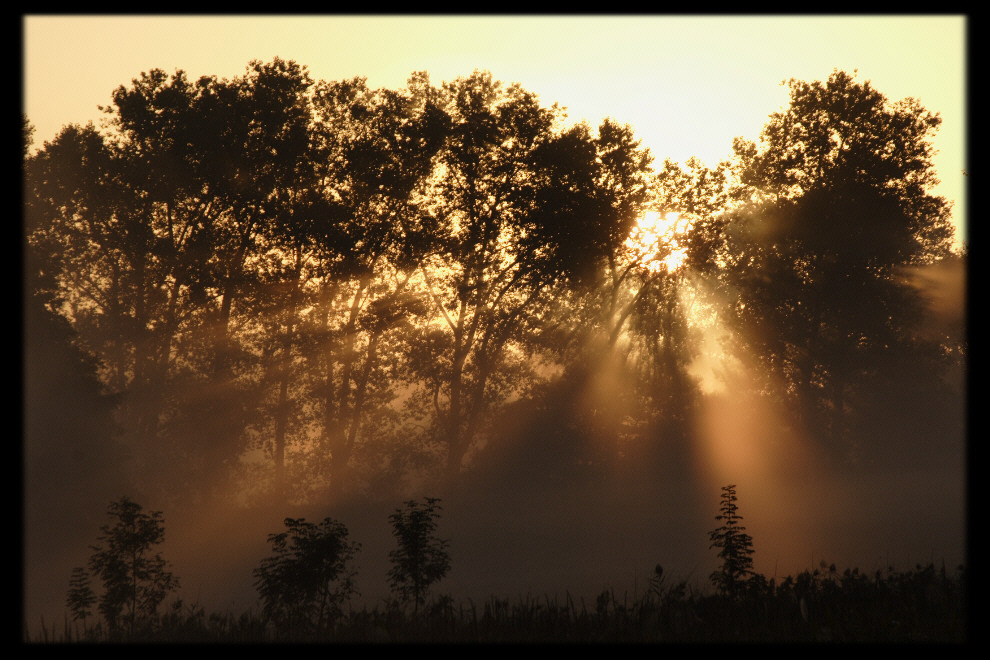 Vom Nebel verweht